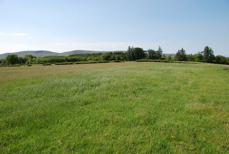 Beili Farm Land