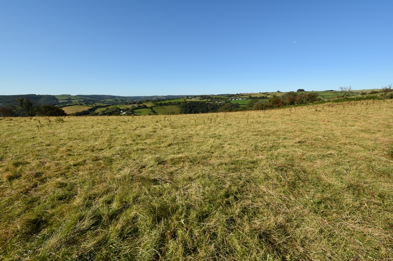 Gareths latest land sale - plot 1