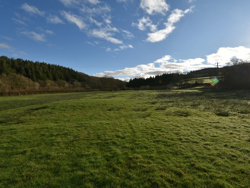  Land at Cwmsawdde Farm, Llangadog, Carmarthenshire, SA19 9PR. - Image No: 9075
