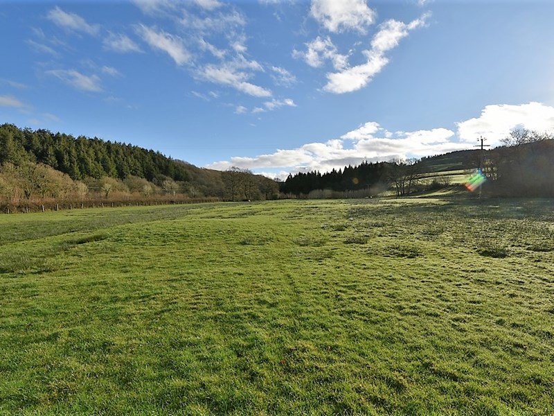  Land at Cwmsawdde Farm, Llangadog, Carmarthenshire, SA19 9PR. - Image No: 9084